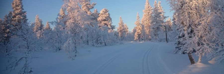 Langlaufwochen in Lappland